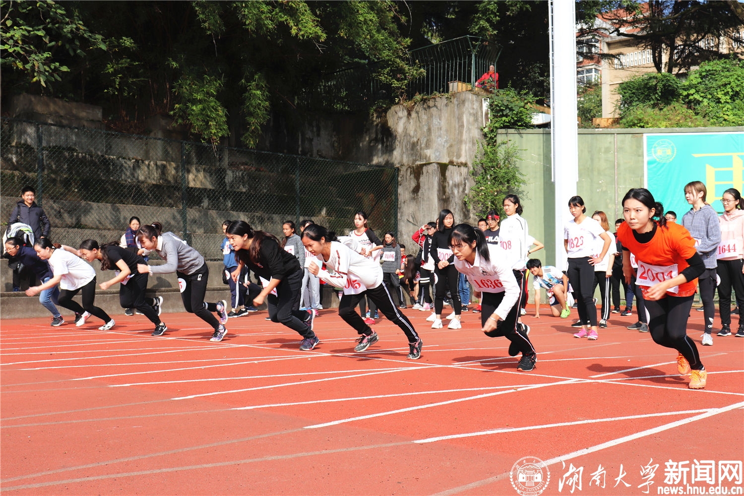 田径场-女子学生甲组100预赛（2）.JPG